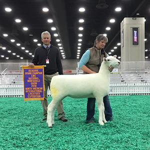 Kuykendall Montadales Winners