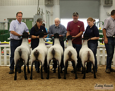 Kukyendall Winners