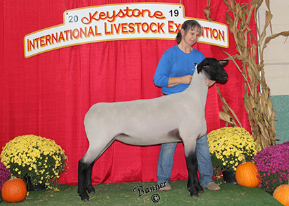 Kuykendall Winners